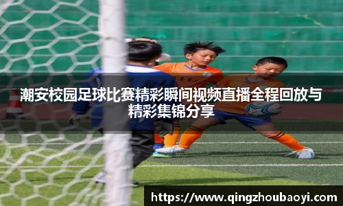 XK星空体育下载
