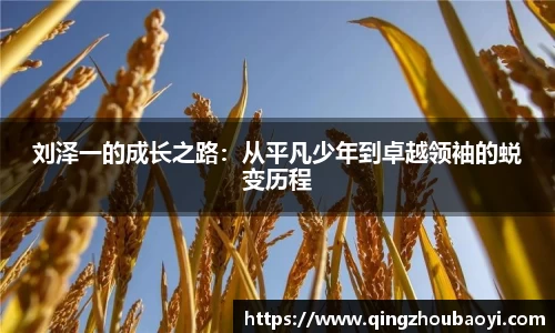XK星空体育下载