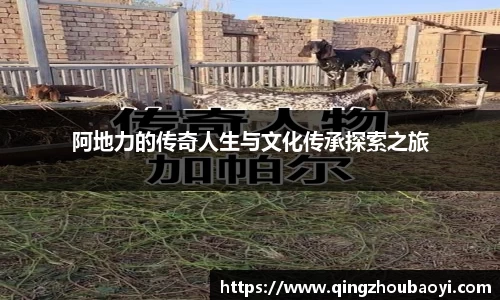 XK星空体育下载