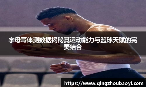 XK星空体育下载