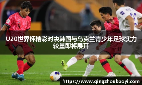 XK星空体育平台