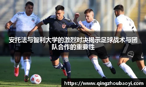 XK星空体育官网