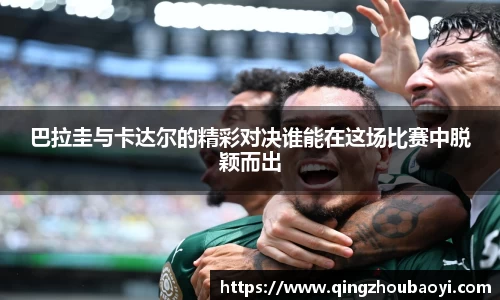 XK星空体育官网